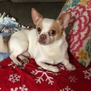 Meet your Posher, Luis